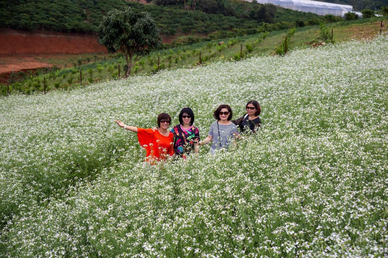 My Anh Guest House Da Lat Dış mekan fotoğraf
