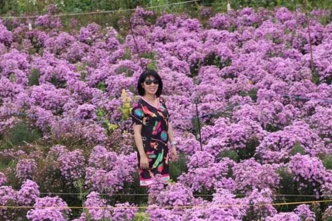 My Anh Guest House Da Lat Dış mekan fotoğraf